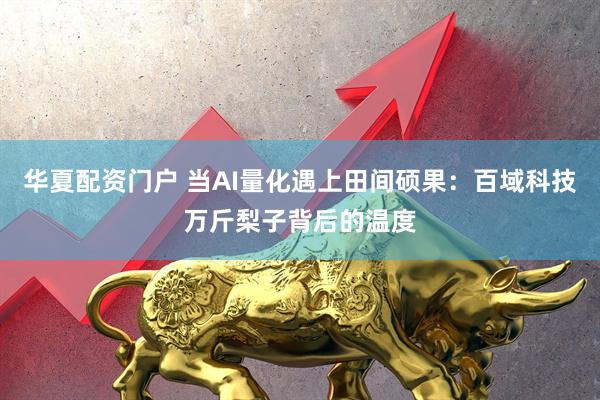 华夏配资门户 当AI量化遇上田间硕果:百域科技万斤梨子背后的温度